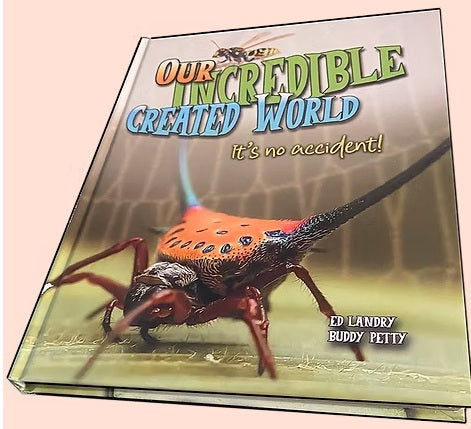 Our Incredible Created World